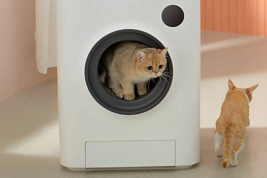 litter boxes for multiple cats